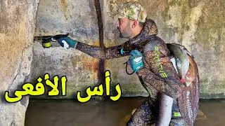 تحدي الصيد بالرمح في حاضرة المحيط 👈 القتل الرحيم ..