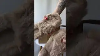 #aliexpress