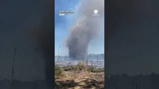 Firenado Twists Through Forest in Monroe County, Mississippi