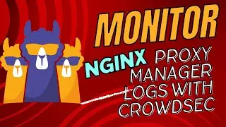 Monitor and Parse Nginx Proxy Manager Proxy Hosts Logs with Crowdsec