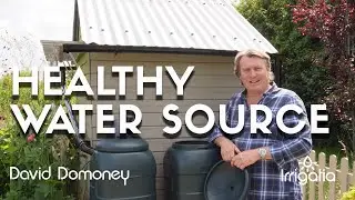 Quick Tip: Keep your water source healthy