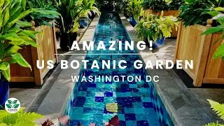 Garden Under Glass:  United States Botanic Garden!