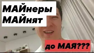 МАЙнеры МАЙнят до МАЯ