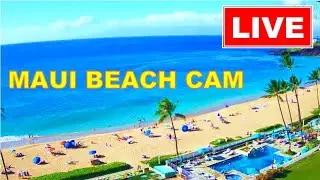 🐳  LIVE 24/7  🌴  4K MAUI LIVE CAM!  Kaanapali Beach CAM, Maui | www.WhalerCondo.net