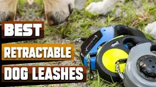 Best Retractable Dog Leash In 2025 - Top 10 Retractable Dog Leashes Review