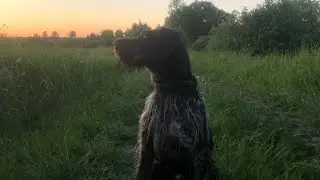 Первый выход в поле после весны