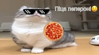 Комару: піца пепероні, піца пепероні, піца пепероні 🤤 (Пародія на Комару Бананчики🍌)