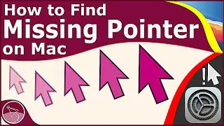 How to Find a Missing Pointer on Mac (Shake Mouse Pointer to Locate) [maCOS Big Sur]