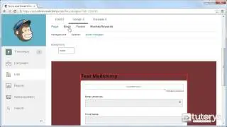 How to create a form with MailChimp ?