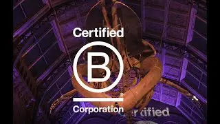 Celebrating 1000x B Corps