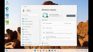 Installing Windows 11 Insider Preview Build 25145 DEV Channel