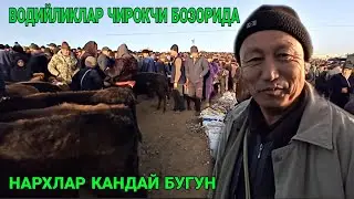 КАШКАДАРЁ ЧИРОКЧИ МОЛ БОЗОРИ НАРХЛАРИ 9 ДЕКАБРЬ 2021 CHIROQCHI MOL BOZORI NARXLARI
