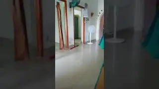 Siril silping