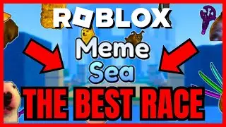 What Is The BEST RACE In Meme Sea? (EXPLAINED)