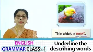 Underline the describing words | ENGLISH GRAMMAR CLASS - 1 | Learn Grammar for beginners Part-66