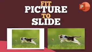 How to #fit #picture to #slide quickly in #powerpoint #shorts