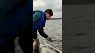 Рыбалка на сеть! Fishing 🎣