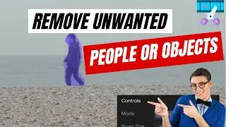 How to Remove Unwanted People or Objects from your Videos 🎞?