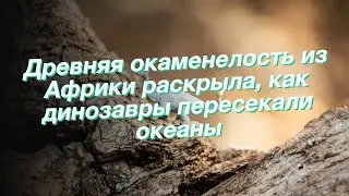 Древняя окаменелость из Африки раскрыла, как динозавры пересекали океаны