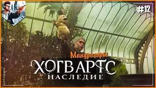 ⚡HOGWARTS LEGACY⚡Мандрагоры⚡ Хогвартс Наследие. №12