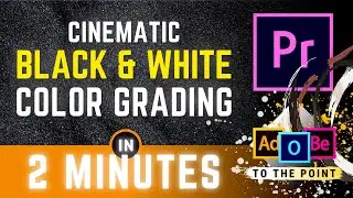 Cinematic Black & White Aged Film Effect Premiere Pro