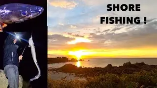 SHORE FISHING - Conger Eels , Dogfish , A Great Night Fishing From The Rocks !