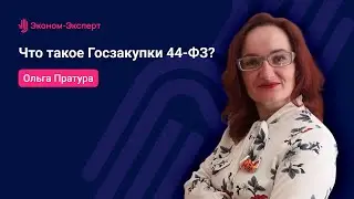 Что такое Госзакупки 44-ФЗ?