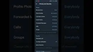 Hide Telegram Phone Number