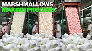 Marshmallows Making Process|How Marshmallows Are Made | INFIO