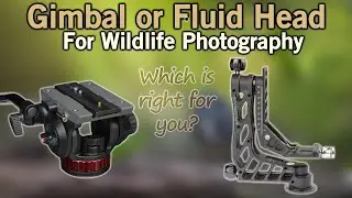 Gimbal or Fluid Tripod Head?