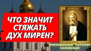 Что значит стяжать дух мирен? Патрясающая беседа  с батюшкой Серафимом