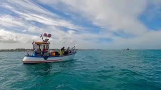 Big Spider Crab - Catch & Cook ! All Day at Sea Fishing