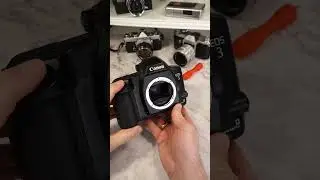 Canon EOS 3 - Stuck Mirror -  Quick Fix