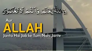 Quran | WhatsApp Status 