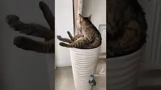 Как проходит мой отпуск