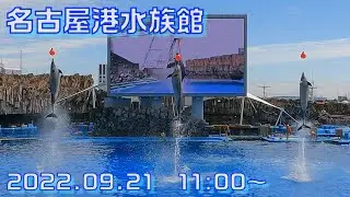 ◆名古屋港水族館　イルカパフォーマンス（2022.09.21）11:00~ ◆固定映像