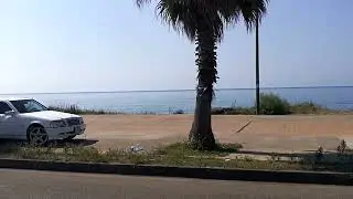 MY WHITE WOLF MB W202 - GEORGIA, BATUMI, AUGUST 2022
