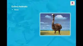 Extinct Animals | Animals and Plants | Now You Know Book 4 | Periwinkle