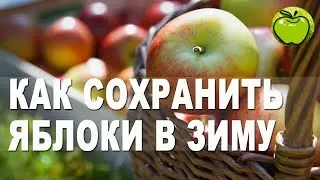 Как сохранить свежие  яблоки и груши на зиму в квартире. Способ, о котором вы даже не догадывались