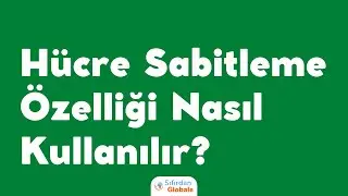 Google Sheets Hücre Sabitleme Nasıl Kullanılır?