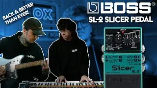 This Sounds Great On ANYTHING! | Boss SL-2 Slicer Pedal