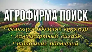 Семеноводство и селекция овощных культур. Питомник растений. Идеи ландшафтного дизайна.