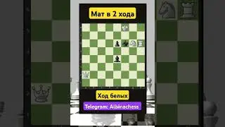 Telegram: Albinachess #chess #шахматы #chessgame #chorts