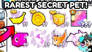 😲 How I Got RAREST SECRET PETS in Pet Simulator 99!