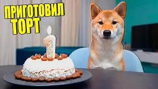 ВПЕРВЫЕ ПРИГОТОВИЛ ТОРТ МОЕЙ СОБАКЕ!