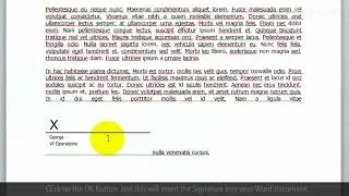 How to Insert a Signature into Microsoft Word