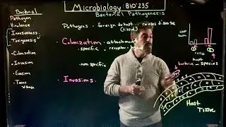 Bacterial Pathogenesis 1