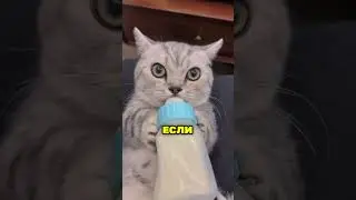💦Вот почему ТЫ НЕ ДОЛЖЕН ПИТЬ ДОЖДЕВУЮ ВОДУ! 😱