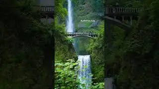 Take a moment and enjoy the tallest waterfall in Oregon State