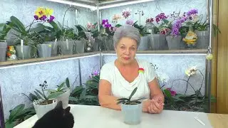 С Новым Годом и Рождеством !!! 😊 💮💐